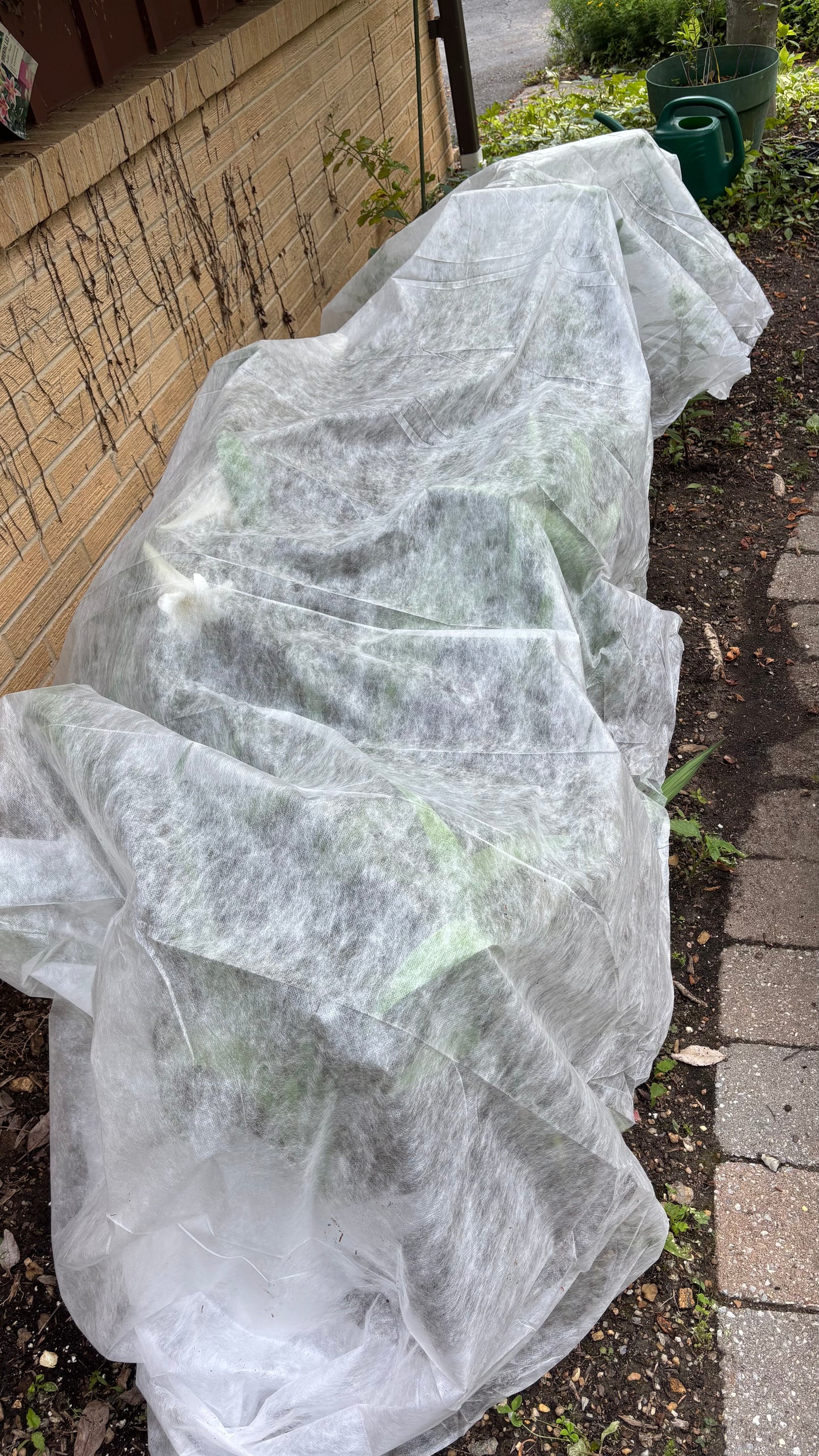 SCORCH GUARD Shade Blanket, 10ft x 15ft, Heat & Sunlight Diffuser for Garden Plants & Tomatoes