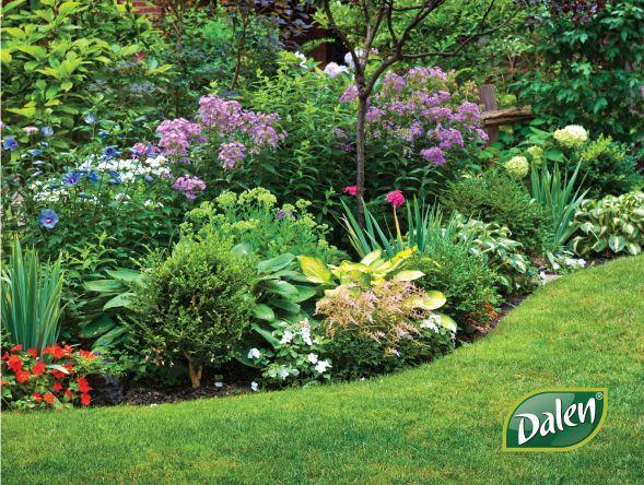 WEED-X® Premium #1 Rated Landscaping Fabric for Stopping Weeds