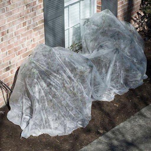 Insect Guard Plant Cover, Bug-Blocking Protective Garden Mesh