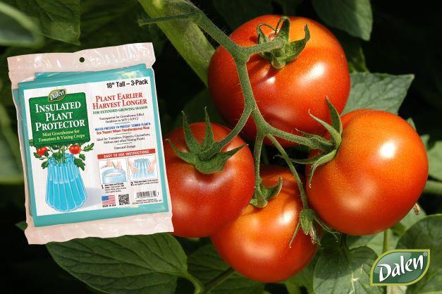 Wall-O-Water™ Season Starter 18" Tomato & Plant Protectors - 3pk or 9pk Mini Greenhouses