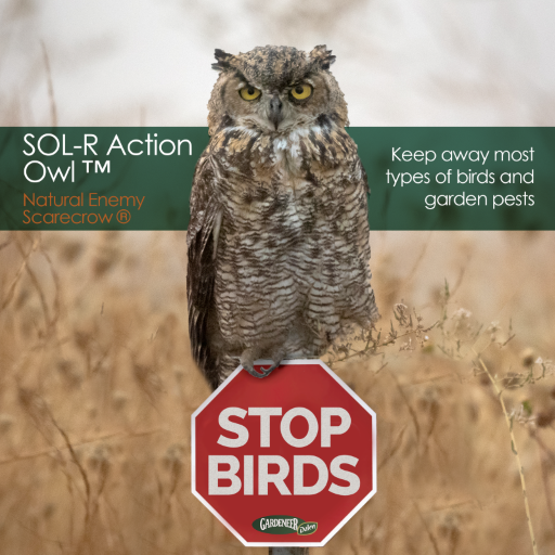 Dalen 18in Sol-R Solar & Wind-Powered Owl Decoy Bird Deterrent