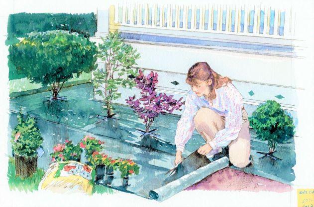 WEED-X® Premium #1 Rated Landscaping Fabric for Stopping Weeds