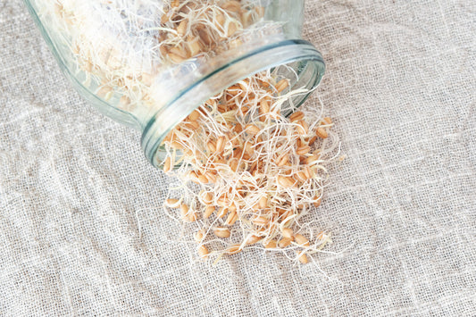 What Is Sprouting, and How Can I Grow Sprouts?