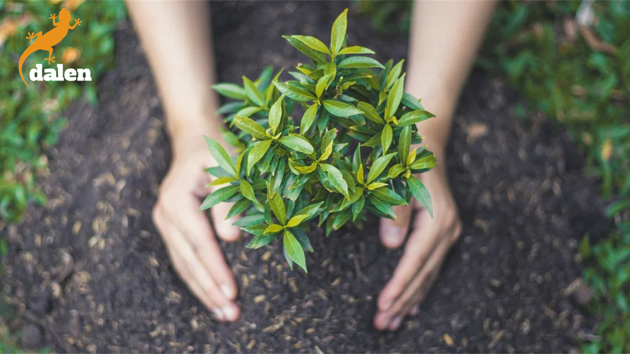 Plant Sooner, Grow Smarter: Tools That Beat the Weather