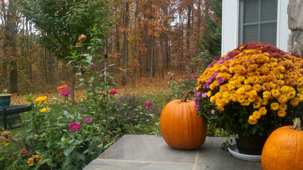 Autumn Favorites
