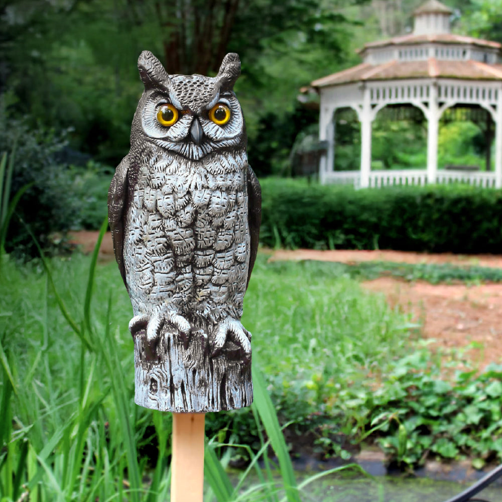Owls & Natural Scaring Devices