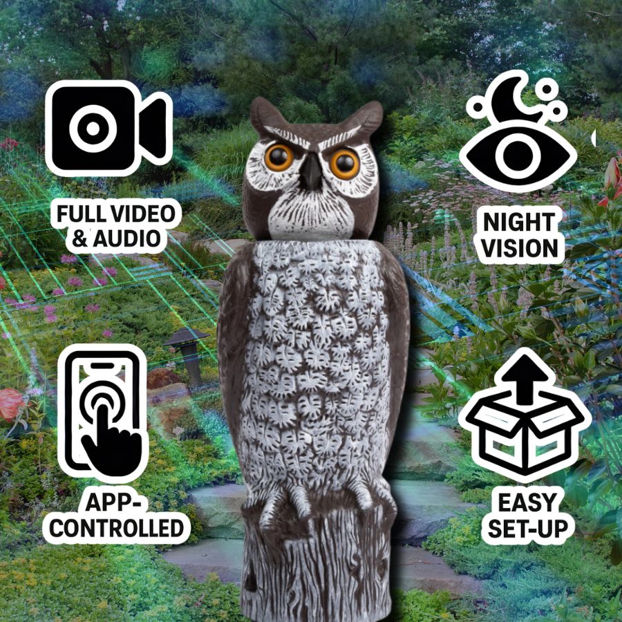 BIRD WATCHER Security Video & Audio Camera Surveillance Owl Decoy - 360° Vision