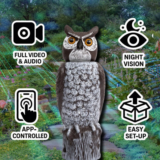 BIRD WATCHER Surveillance Owl Decoy, 360° Vision Hidden Security Video & Audio Camera, by Dalen Products