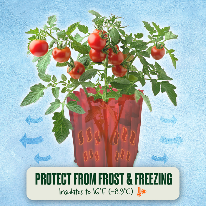 Automator Tomato Growth Trays, 3-Pack, Square Foot Sun Reflector for Faster Ripening, by Dalen Products