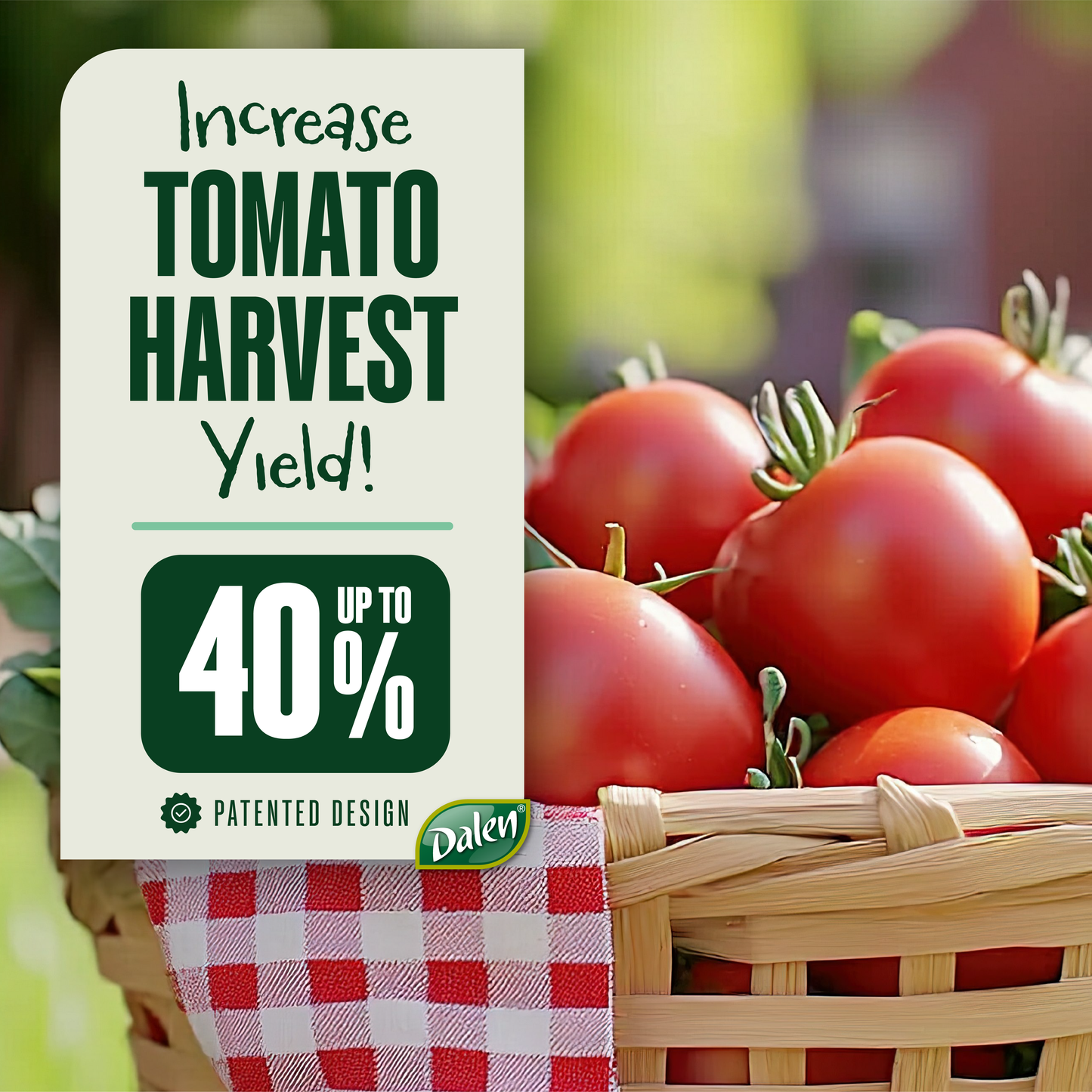 Automator Tomato Growth Trays, 3-Pack, Square Foot Sun Reflector for Faster Ripening, by Dalen Products