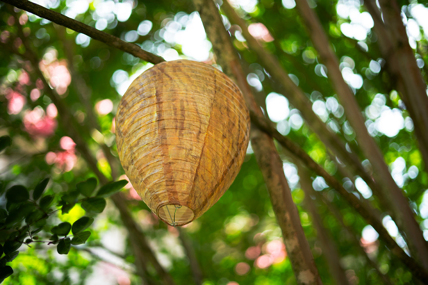 fake carpenter bee prevention nest
