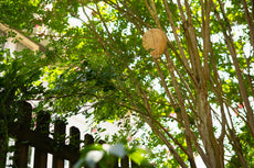 Fake Hornet's Nest - Wasp & Bee Territorial Nesting Repellent - 3 Pack