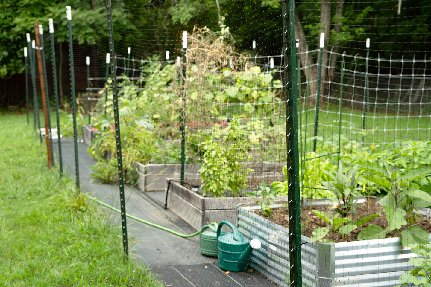 Dalen Deer-X Heavy-Duty Black Deer Netting UV-Resistant Barrier