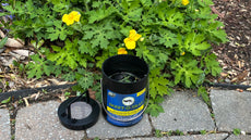 SKEET-O-TRAP Unique Mosquito Repellent Ovitrap for Yard or Garden