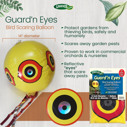 Dalen Trio of Inflatable Scarecrows Owl Snake and Guard'N Eyes