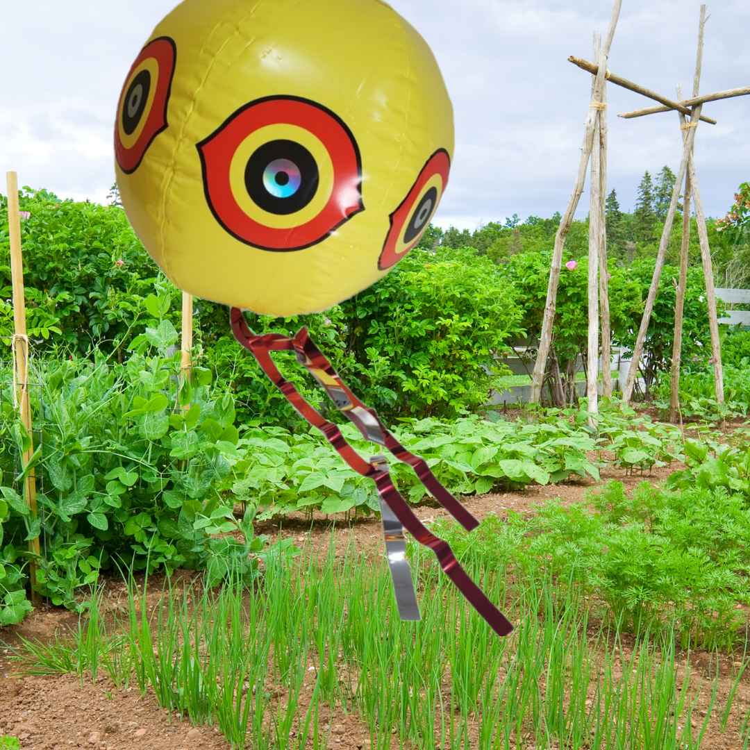 garden eyes scare away pests