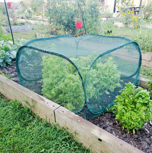 protective mesh garden pest barrier