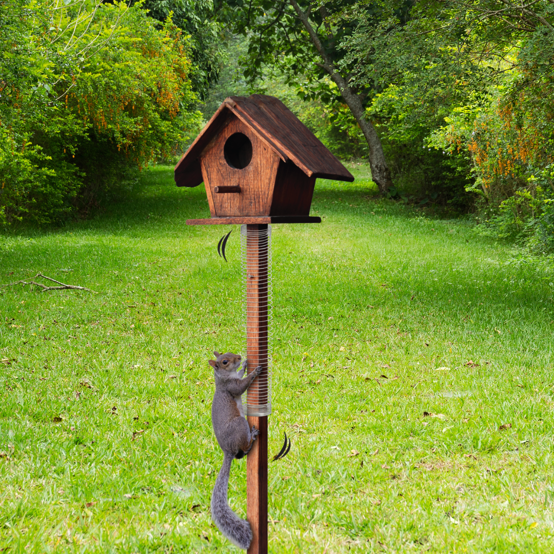 slinky makes it hard for squirrels to climb 