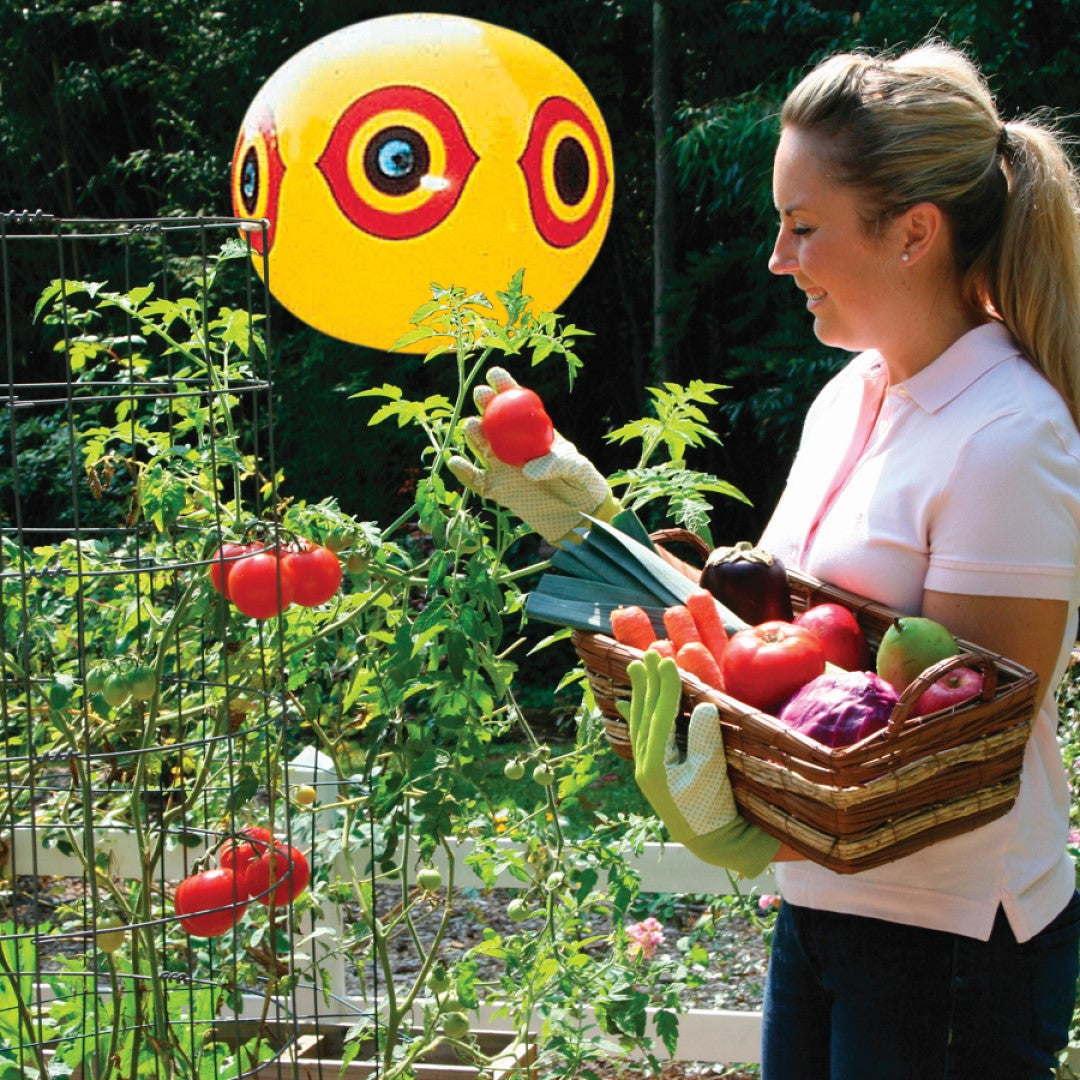 Guard’n Eyes Scare Balloon