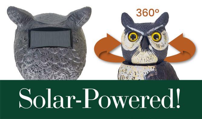 Dalen 18in Sol-R Solar & Wind-Powered Owl Decoy Bird Deterrent