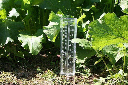 Rain Gauge for Calculating Rainfall