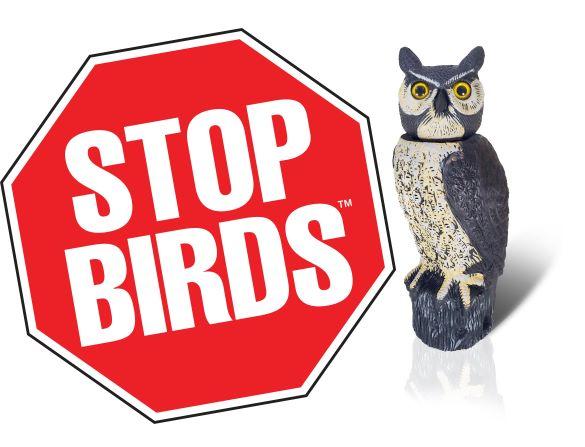Dalen 18in Sol-R Solar & Wind-Powered Owl Decoy Bird Deterrent