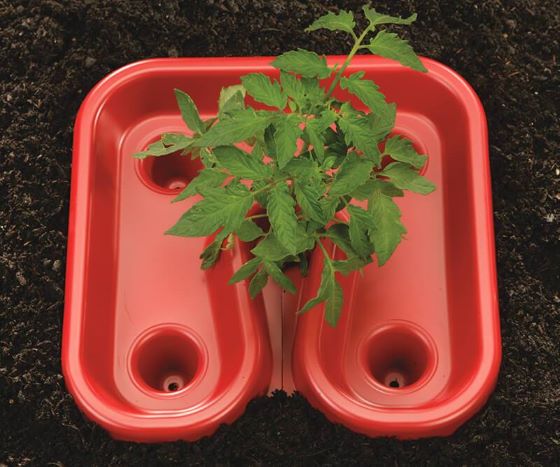 Automator Tomato Growth Trays, 3-Pack, Square Foot Sun Reflector for Faster Ripening, by Dalen Products