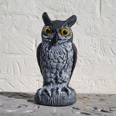 Baby Scarecrow Owl - 10.6