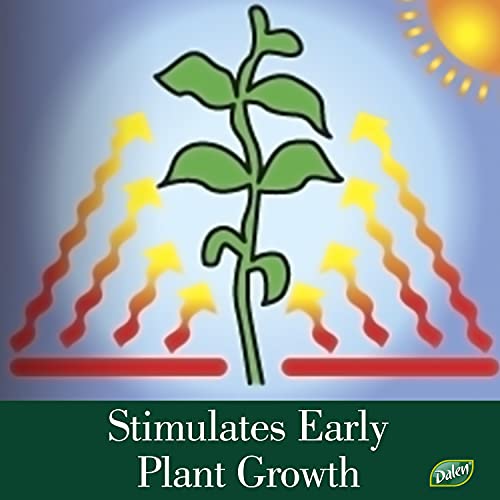 Better Reds Sunshine Reflector, Ground Cover for Boosting Tomato & Fruit Growth, by Dalen Products