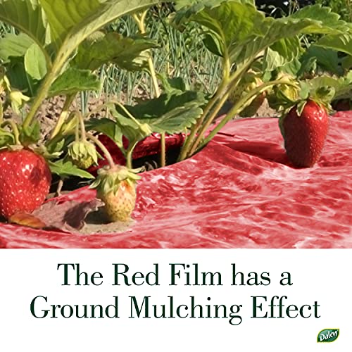 Better Reds Sunshine Reflector, Ground Cover for Boosting Tomato & Fruit Growth, by Dalen Products