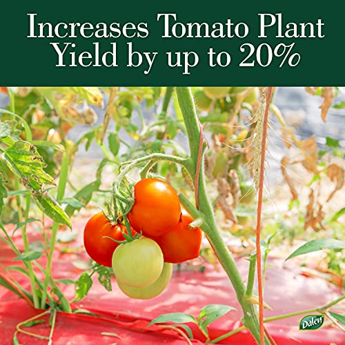 Better Reds Sunshine Reflector, Ground Cover for Boosting Tomato & Fruit Growth, by Dalen Products