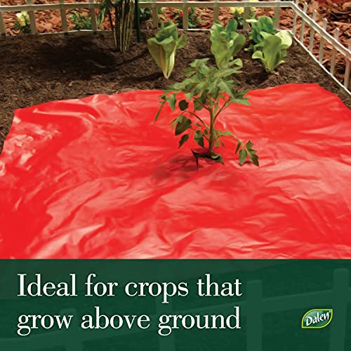 Better Reds® Sunshine Reflector for Boosting Fruit Growth