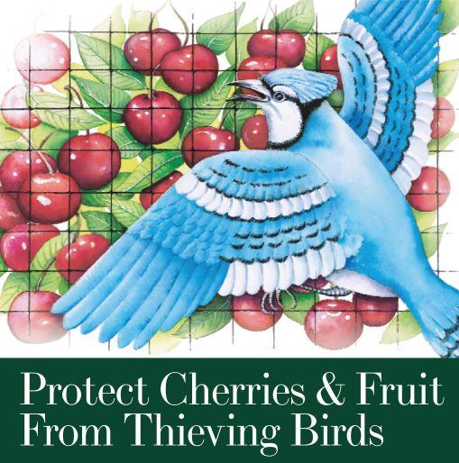 Bird-X - Protective Netting For Fruit Trees & Shrubs