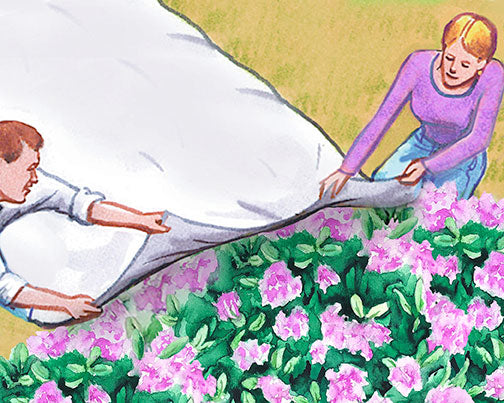 Harvest Guard  SUB ZERO