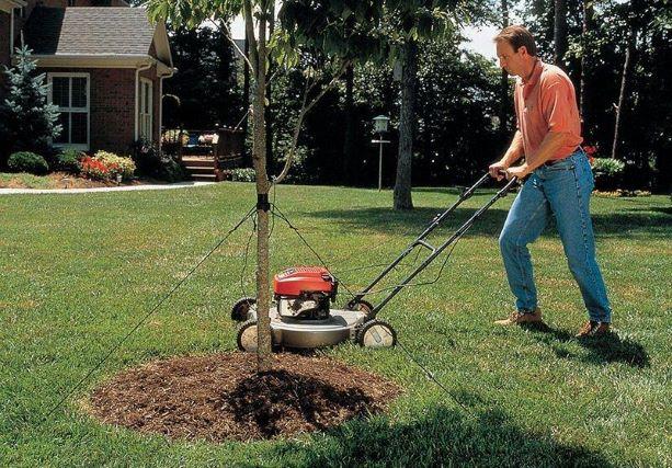 Mow-Over Tree Stake Kit