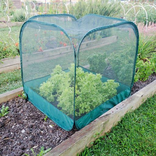 Dalen Pop-Net Multi-Size Pop-Up Garden Screen Cover Pest & Hail Barrier