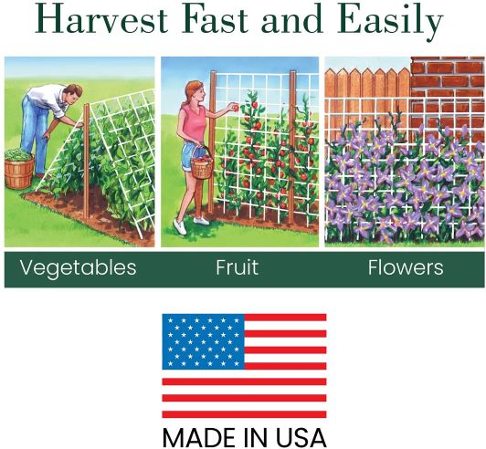 Dalen Heavy-Duty Trellis Netting Multi-Size Weatherproof Vertical Garden Support