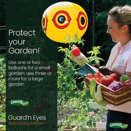 Dalen 14in Guard'n Eyes Inflatable Bird Scare Balloon Reflective Deterrent