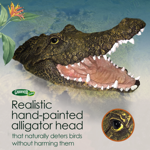 Dalen Floating Alligator Head Decoy Hand-Painted Pond & Pool Bird Deterrent