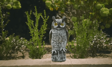 Dalen 16in Great Horned Owl Decoy Hand-Painted Bird & Pest Deterrent