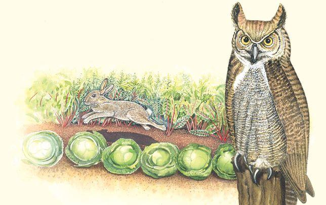Dalen 24in Inflatable Owl Decoy Natural Enemy Scarecrow Bird Deterrent
