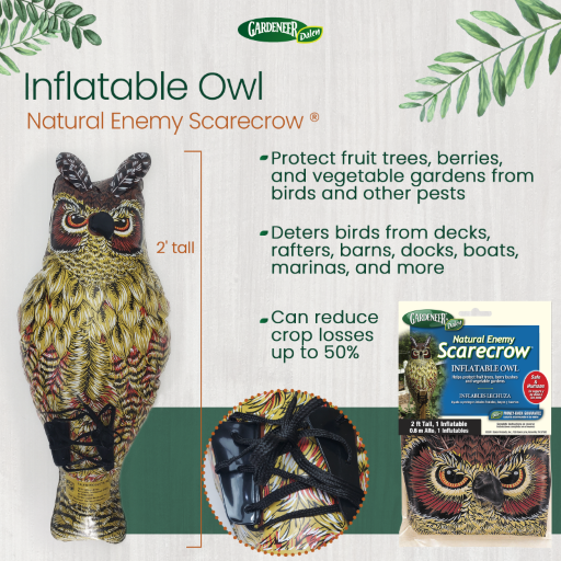 Dalen 24in Inflatable Owl Decoy Natural Enemy Scarecrow Bird Deterrent