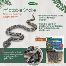 Inflatable Diamondback Snake - 6ft Realistic Natural Enemy Bird Scarecrow