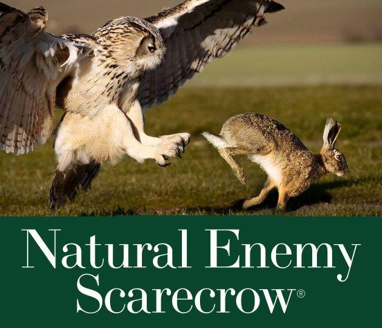 Dalen 18in Sol-R Solar & Wind-Powered Owl Decoy Bird Deterrent