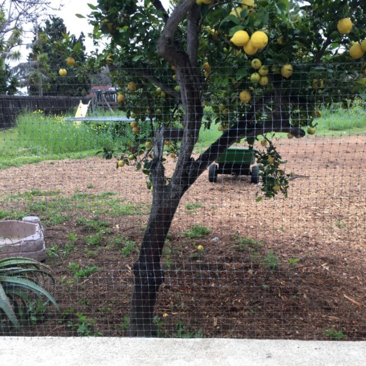 Dalen Plastic Barrier Fencing 1.5in Mesh Reusable Yard & Garden Safety Fence