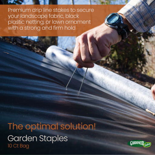 Garden Staples & Landscaping Pins - Durable Steel - Small Pack & Bulk Options