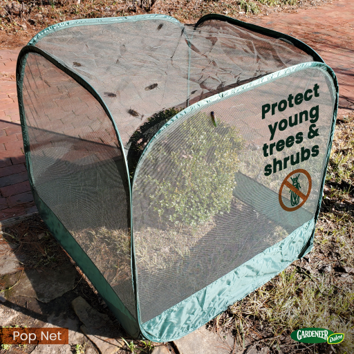 Dalen Pop-Net Multi-Size Pop-Up Garden Screen Cover Pest & Hail Barrier
