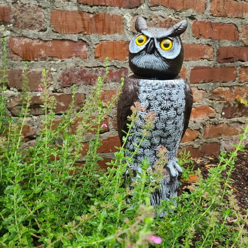 fake owl scarecrow with spinning head