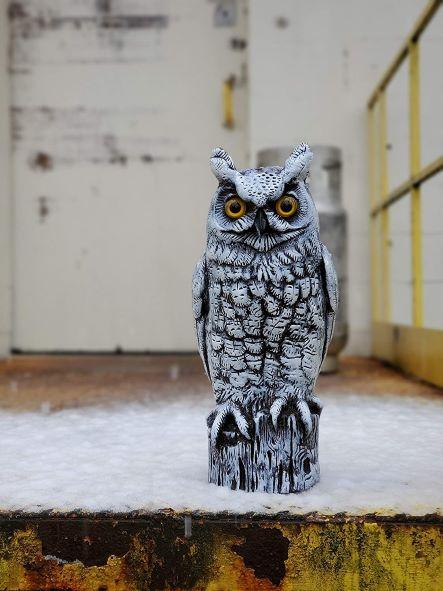 Snow White Decoy Owl - 16" Natural Enemy Winter Scarecrow Bird