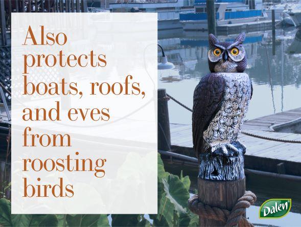 Dalen 18in Sol-R Solar & Wind-Powered Owl Decoy Bird Deterrent